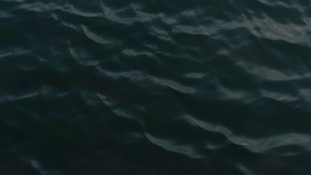 Photo Haagse uitvaart