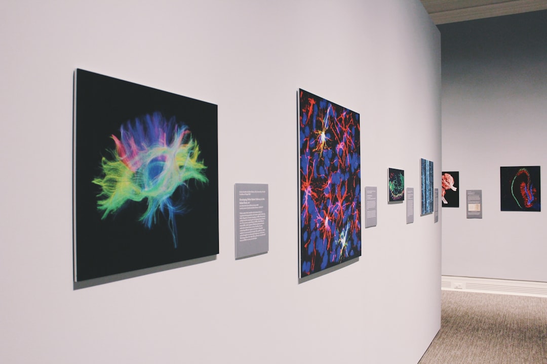 Photo art museums